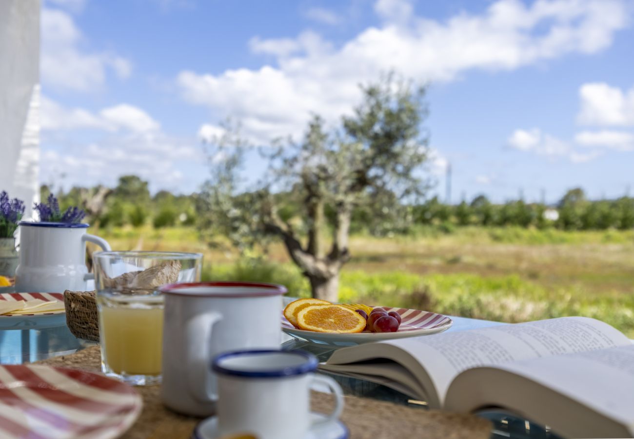 Terraced House in Porto Covo - Casa na Costa Alentenjana (3) - 2  pax by Soul Houses